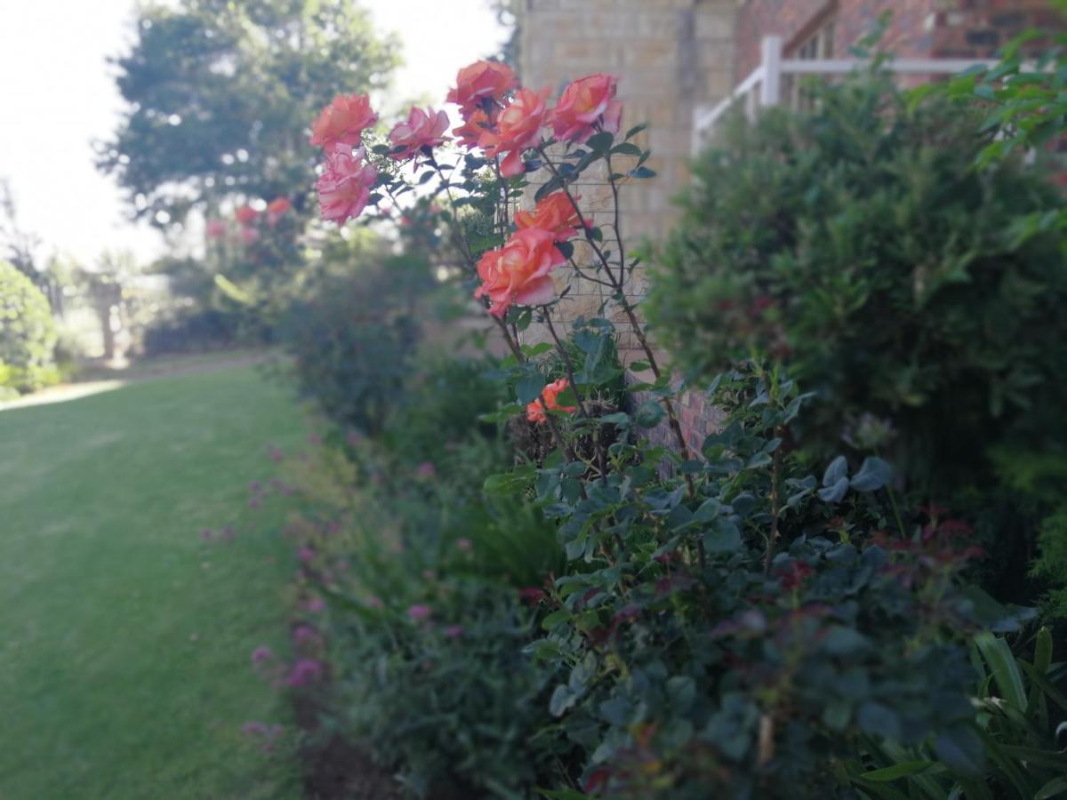Clarens Cottages المظهر الخارجي الصورة